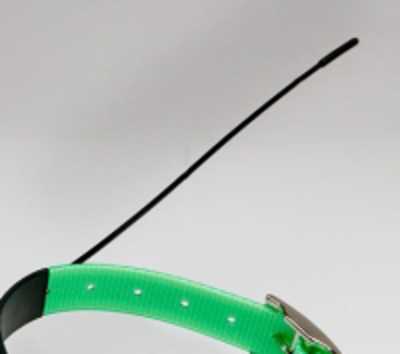 Replacement Collar Antenna Kit