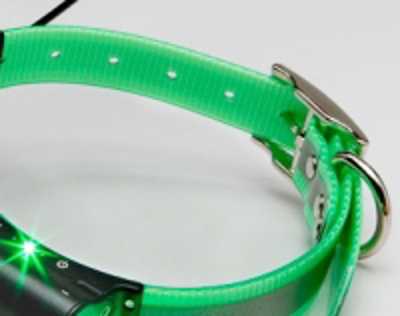 Replacement Collar Strap - 23"