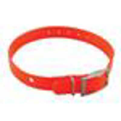 Replacement Collar Strap for DC-40
