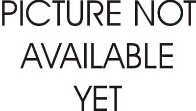 14 VOLT BELT LIGHT sug retail $250.00