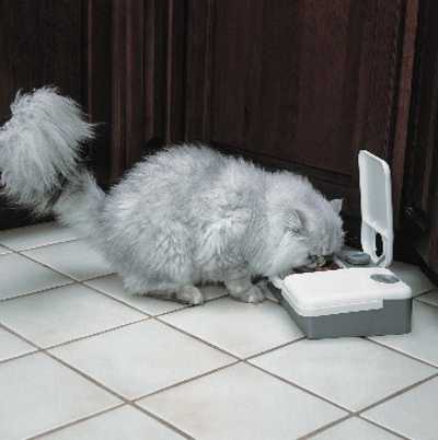 2-Meal Electronic Feeder