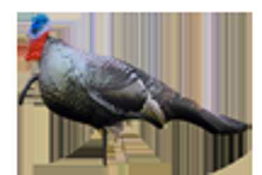 CHEROKEE LIFELIKE DECOYS JUNVINILE JAKE DECOY