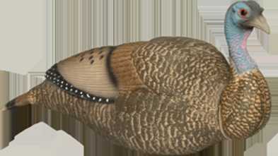 CARRYLITE PRETTY PENNY