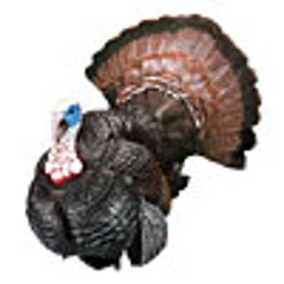 CARRY-LITE PEEP N TOM GOBBLER DECOY