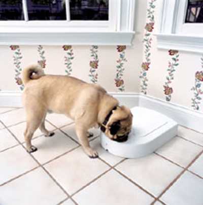 5-Meal Electronic Pet Feeder