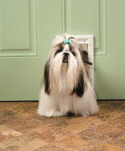 Freedom Plastic Pet Door - Small