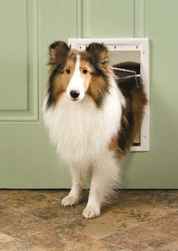 Freedom Plastic Pet Door - Medium