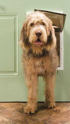 Freedom Plastic Pet Door - Large