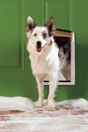Extreme Weather Pet Door - Medium