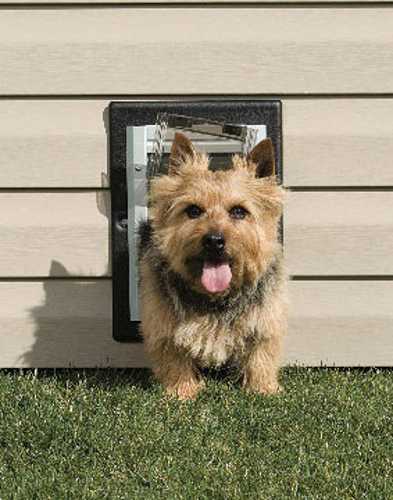 Wall Entry Pet Door - Small