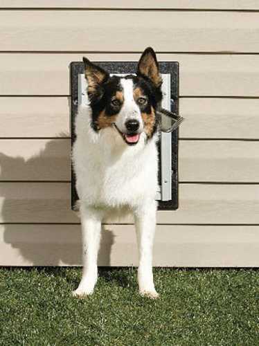 Wall Entry Pet Door - Medium