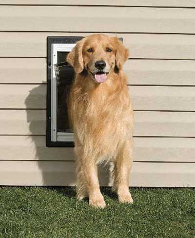 Wall Entry Pet Door - Large