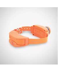 SPORTDOG ADR-AB COLLAR (Upland Hunter 1875)